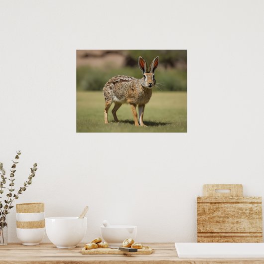 Poster Antelope Jackrabbit debout sur l'herbe (Cuisine)