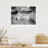 Poster Antélope nourrissante (Cuisine)