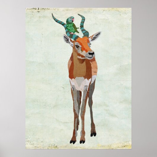 Poster Antelope & Parrot Art (Devant)