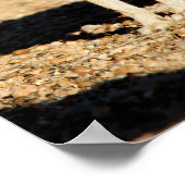 Poster Antelope portrait de lapin, Arizona (Coin)