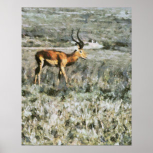 Poster Antelope sauvage dans une peinture d'animal de pra