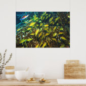 Poster Anthias Reef (Cuisine)