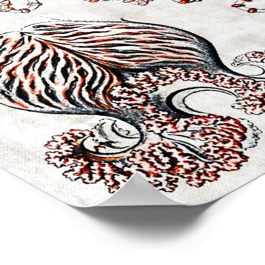 Poster Anthomedusae (Coin)