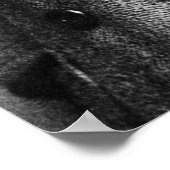 Poster Anthony Fokker (Coin)