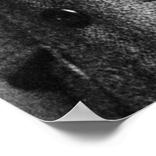 Poster Anthony Fokker (Coin)