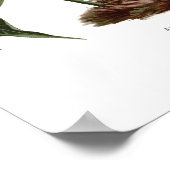 Poster Anthurium scherzerianum (Coin)