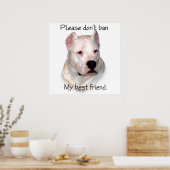 Poster anti-BSL argentin Dogo (Cuisine)