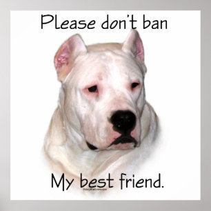 Poster anti-BSL argentin Dogo