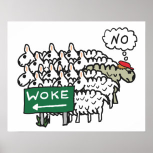 Poster Anti-Woke