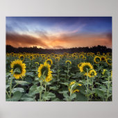 Poster anticipation (Devant)