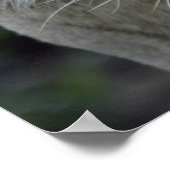 Poster Anticipation (Coin)