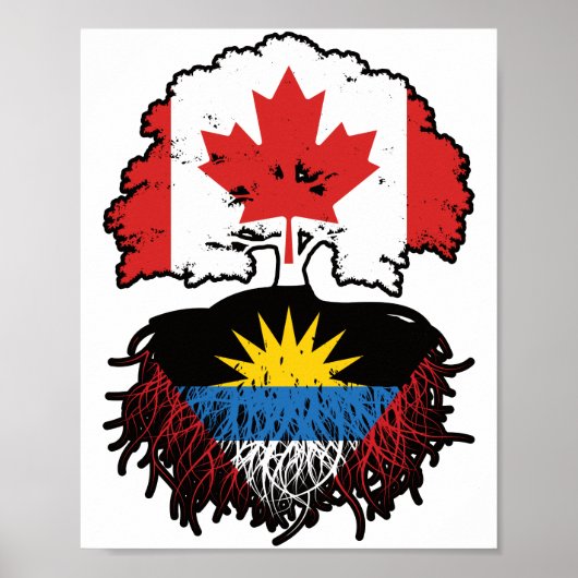 Poster Antigua Antiguan Canadian Canada Arbre Roots Drape (Devant)