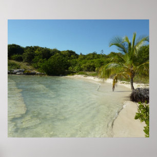 Poster Antiguan Beach Beautiful Tropical Landscape
