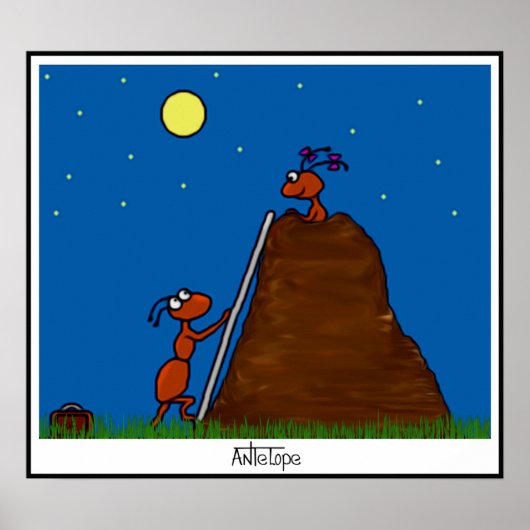 Poster Antilope (Devant)
