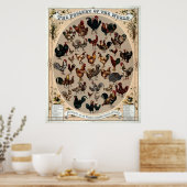 Poster Antique 1868 Volaille Du Monde (Cuisine)