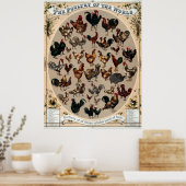 Poster Antique 1868 Volaille du monde (Cuisine)