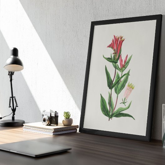 Poster Antique Aquarelle Botanique Imprimer