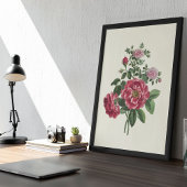 Poster Antique Aquarelle Botanique Imprimer