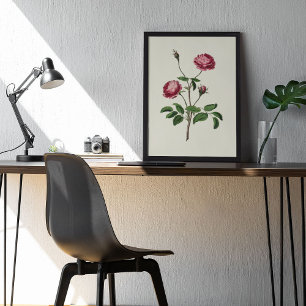 Poster Antique Aquarelle Botanique Imprimer