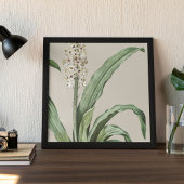 Poster Antique Aquarelle Botanique Imprimer