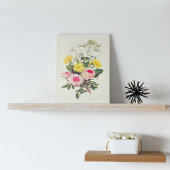Poster Antique Aquarelle Botanique Imprimer