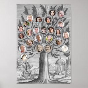 Poster Antique arbre généalogique Insérez vos propres nom