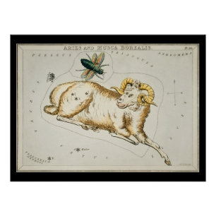 Poster Antique Astronomie Graphique Astronomique Zodiac