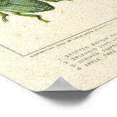 Poster Antique Charte du dendroctone du pin ponderosa (Coin)