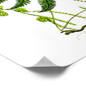 Poster Antique Fern No.9 Botanique (Coin)