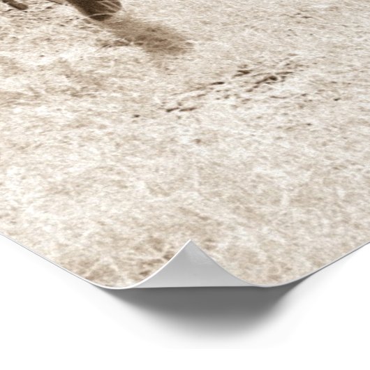 Poster Antique Hay Rake (Coin)