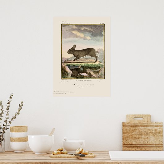 Poster Antique Lapin Rabbit Couleur Etching (Cuisine)