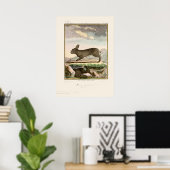 Poster Antique Lapin Rabbit Couleur Etching (Bureau à domicile)