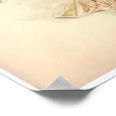 Poster Antique Lithographie Imprimer Iris Nymphe (Coin)