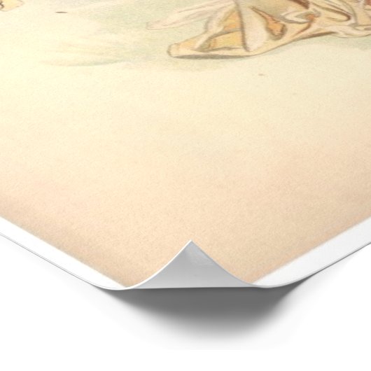 Poster Antique Lithographie Imprimer Iris Nymphe (Coin)