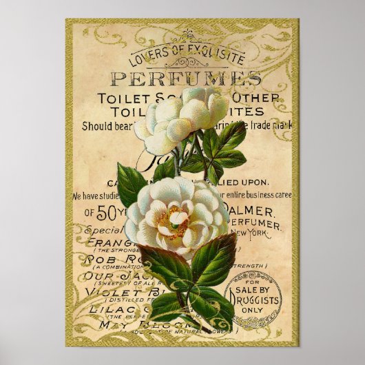 Poster Antique Roses Perfume (Devant)