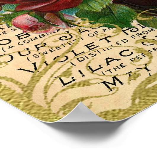 Poster Antique Roses Perfume (Coin)