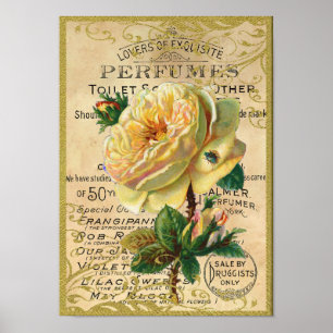 Poster Antique Roses Perfume Butterflies