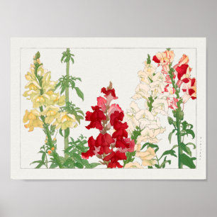 Poster Antirrhinum majus par Tanigami Konan