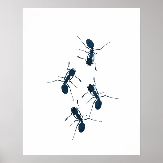 Poster Ants (homonymie) (Devant)