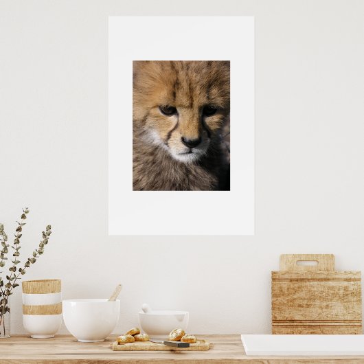 Poster Anubis (Cuisine)