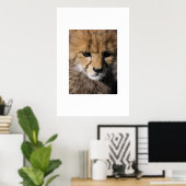 Poster Anubis (Bureau à domicile)