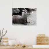 Poster Aonyx cinerea (Cuisine)