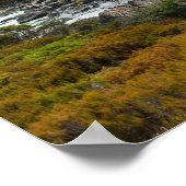 Poster Aoraki / Mount Cook (Coin)