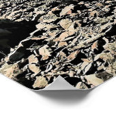 Poster Aoraki/Mt Cook (Coin)