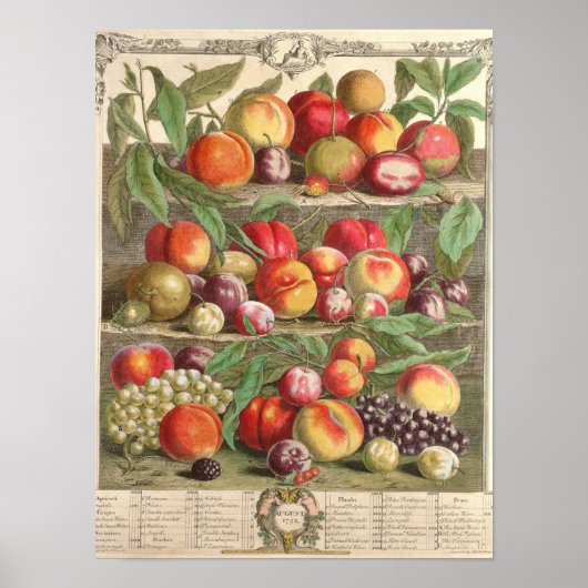 Poster Août, "Douze mois de fruits" (Devant)