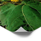 Poster Août pluie, Fleurs de soleil, Imprimer (Coin)