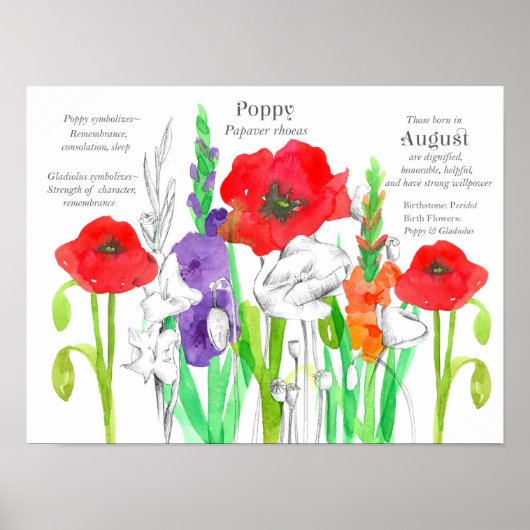 Poster Août Poppies d'anniversaire Gladiolus Fleur de nai (Devant)
