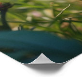 Poster *~* AP68 5:4 Feline Kitty Kitten Fluffy Nature (Coin)