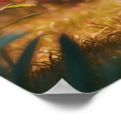 Poster *~* AP68 Kitty Chat 5:4 Kitten Blanc Cheveux longs (Coin)