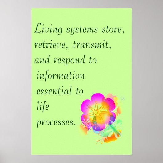 Poster AP Biologie Grande Idée 3 (Devant)